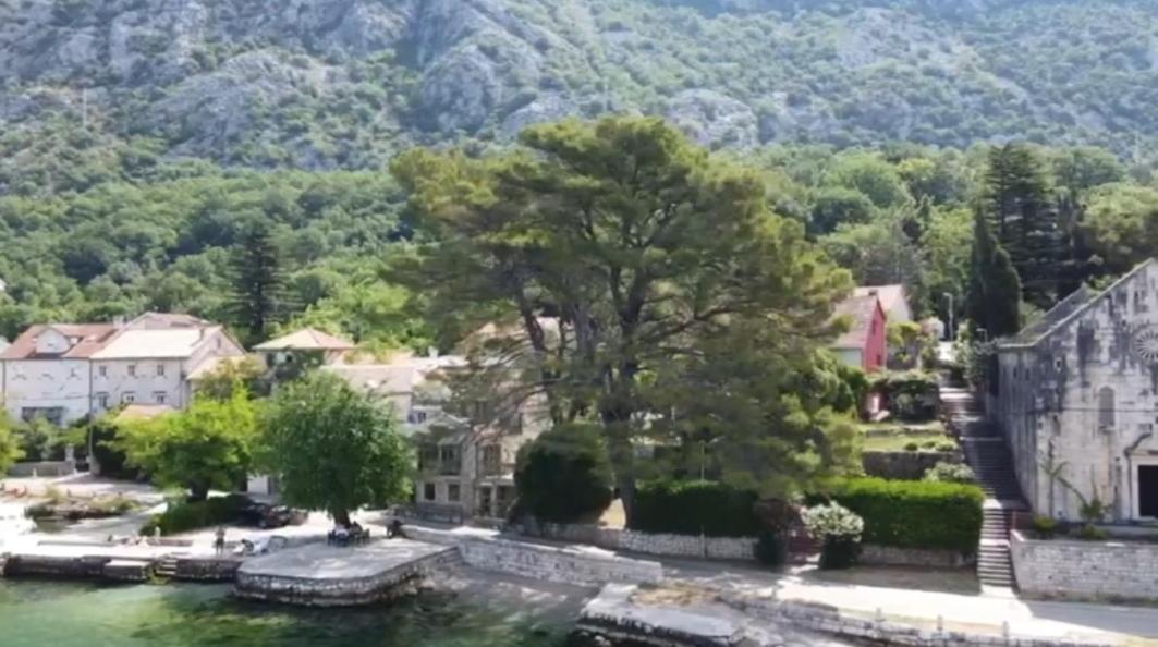 Lovely Apartment On The Sea Shore, With A View And Free Wi-Fi Kotor Exterior foto